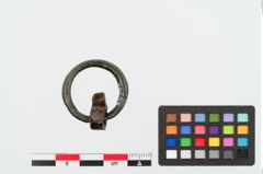 Foto von Bronzering (NHMW-PRAE-024946)